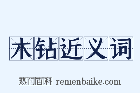 木钻近义词是什么意思的图片